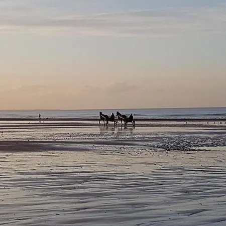 Lägenhet Cosy Vue A Cabourg