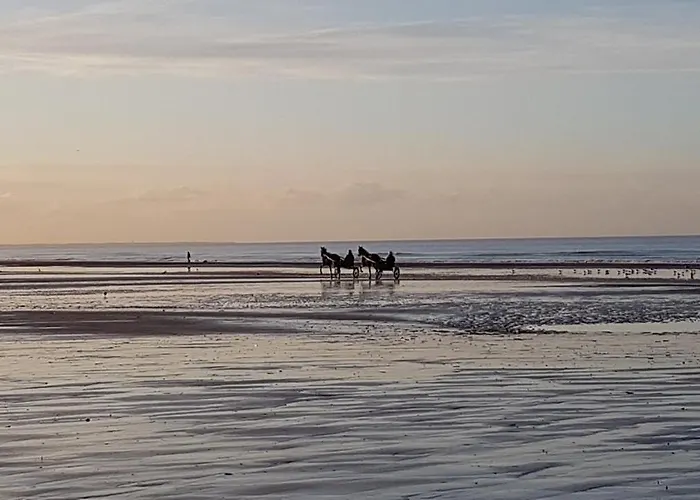 公寓 Cosy Vue A 卡布尔